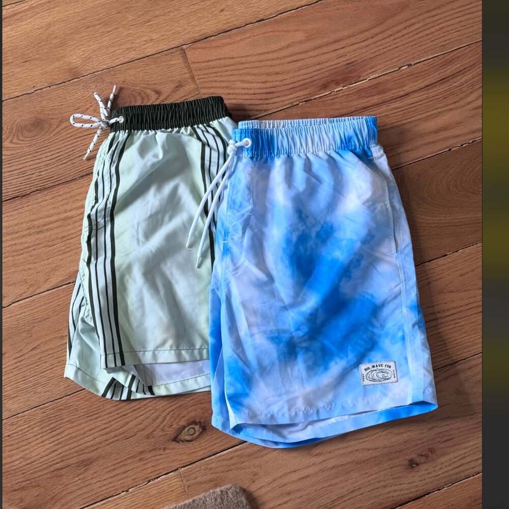 Men’s Bundle: 2 Bathing Suits / Shorts – Blue & Green (Size Medium)